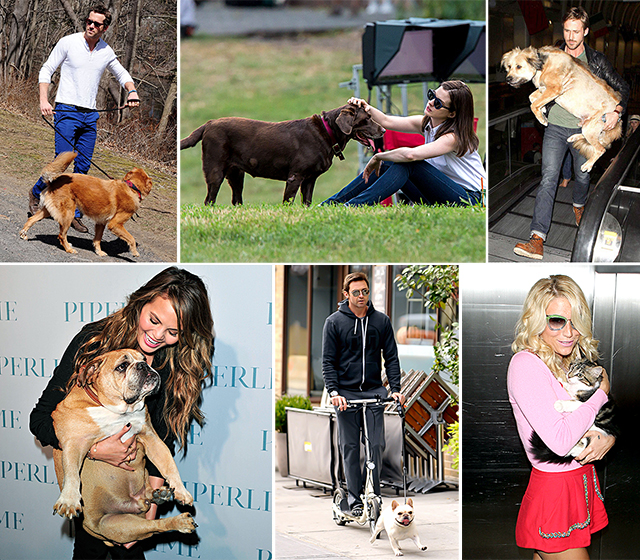 Zvijezde i njihovi ljubimci Najveća holivudska prijateljstva